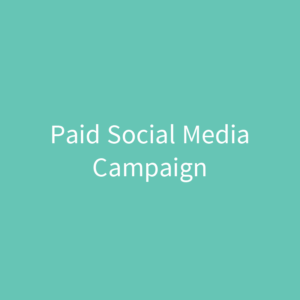 Paid Social Media Campaign